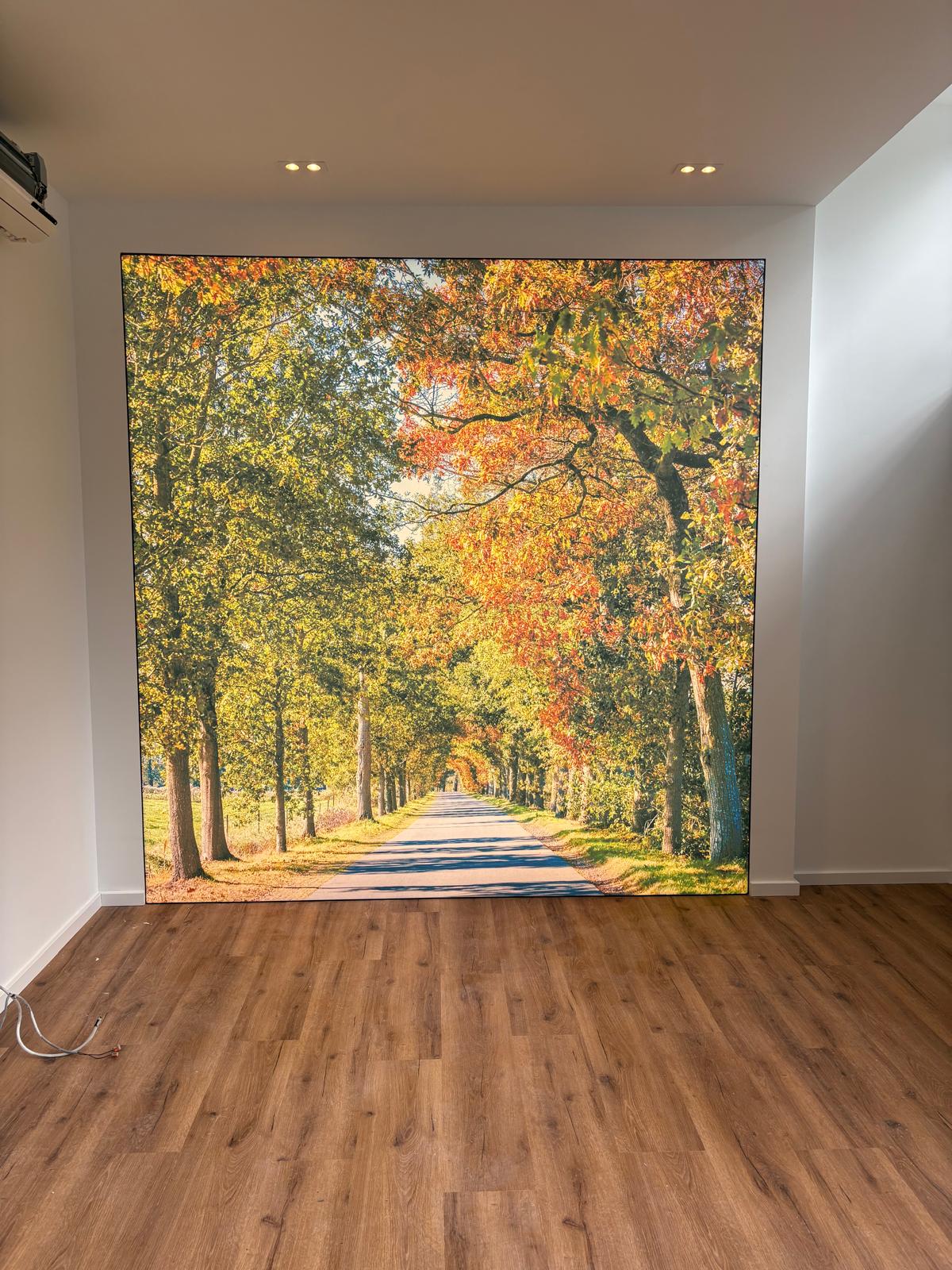 Spanndecke mit Fotodruck Waldweg